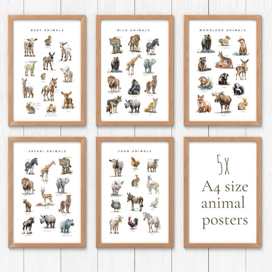 Animal Poster Set | Montessori