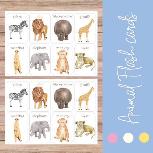 Nature Animal Flash Cards | Montessori