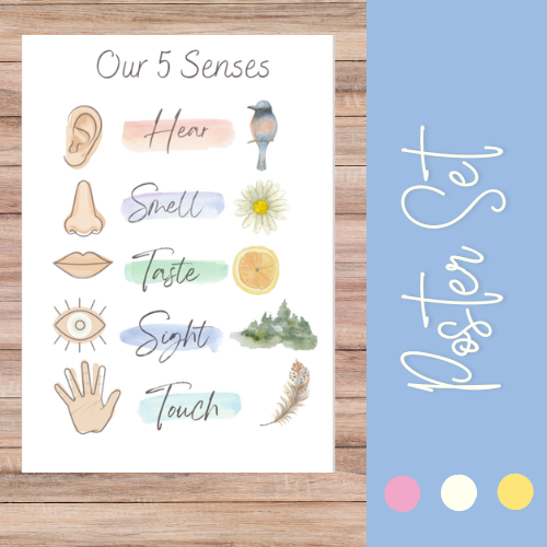 5 Senses | Montessori Poster