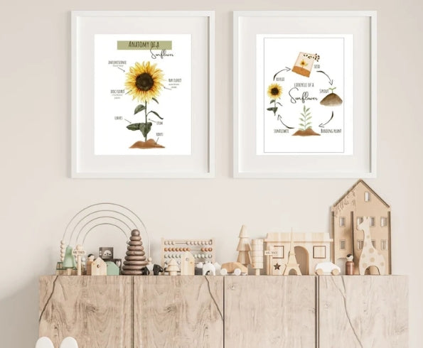 Sunflower Poster Set | Montessori Theme Sunflower Pack