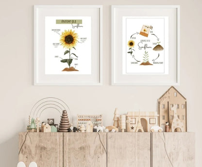 Sunflower Poster Set | Montessori Theme Sunflower Pack