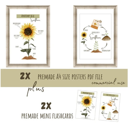 Sunflower Poster Set | Montessori Theme Sunflower Pack