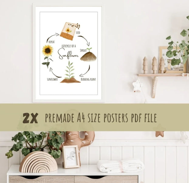 Sunflower Poster Set | Montessori Theme Sunflower Pack