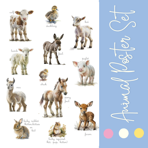 Animal Poster Set | Montessori