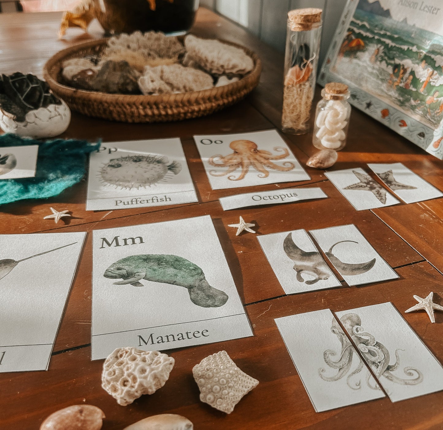 Ocean Themed Activity | Class Bundle