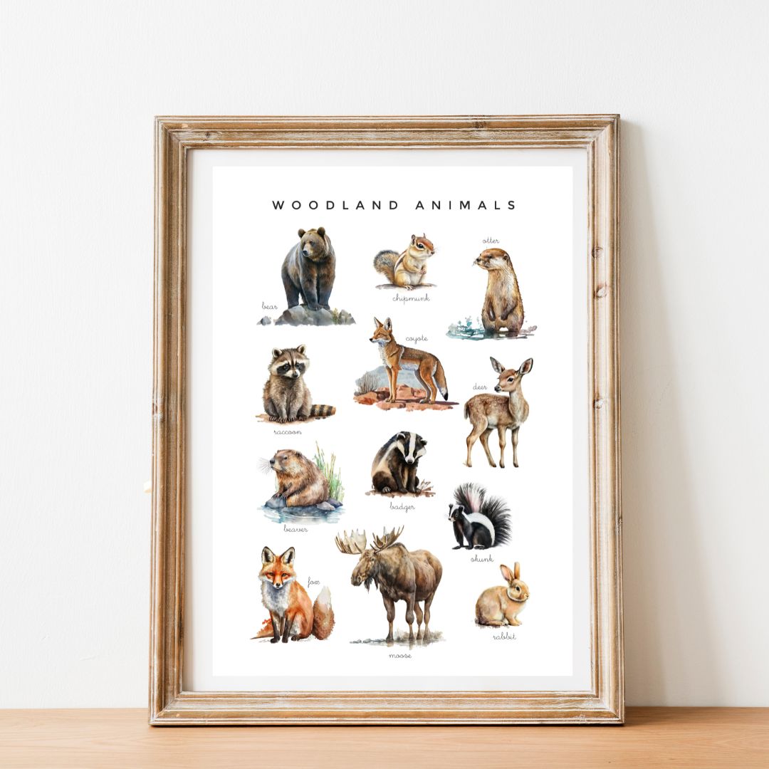 Animal Poster Set | Montessori