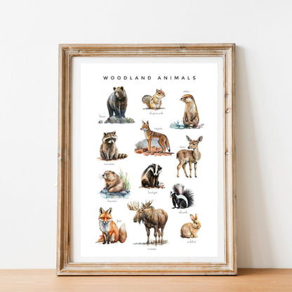 Animal Poster Set | Montessori