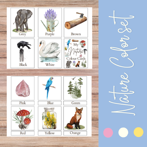 Color Flash Cards | Nature Montessori Theme